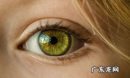 如何及早发现和预防肝病?