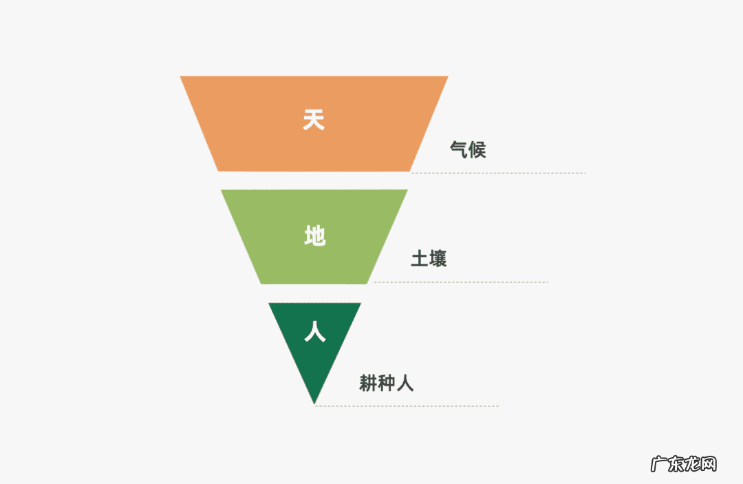 社交app的营销策略 app推广计划