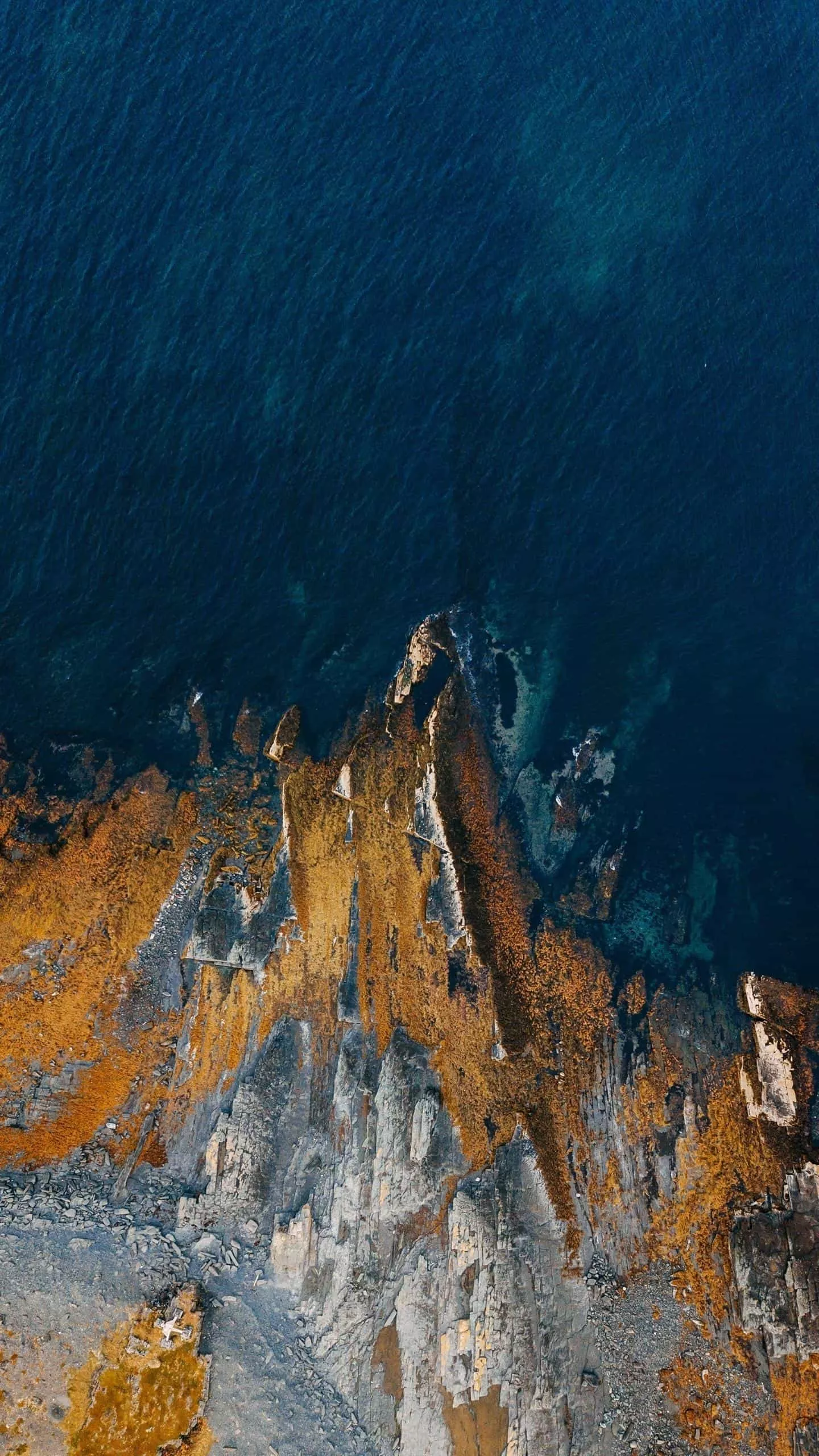 如果让你推荐2022必读十本书，你会推荐什么呢？