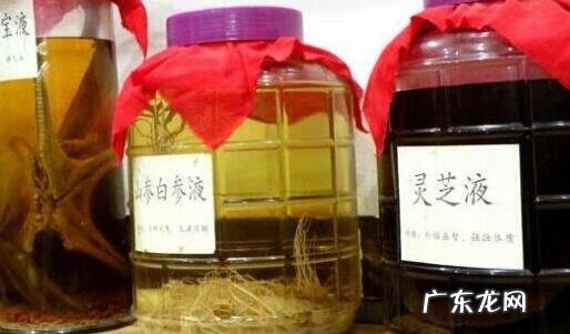 如何泡药酒步骤 泡药酒用什么酒