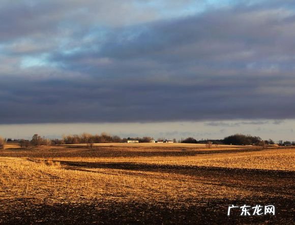 风水龙是什么样子的 风水中龙背的说法