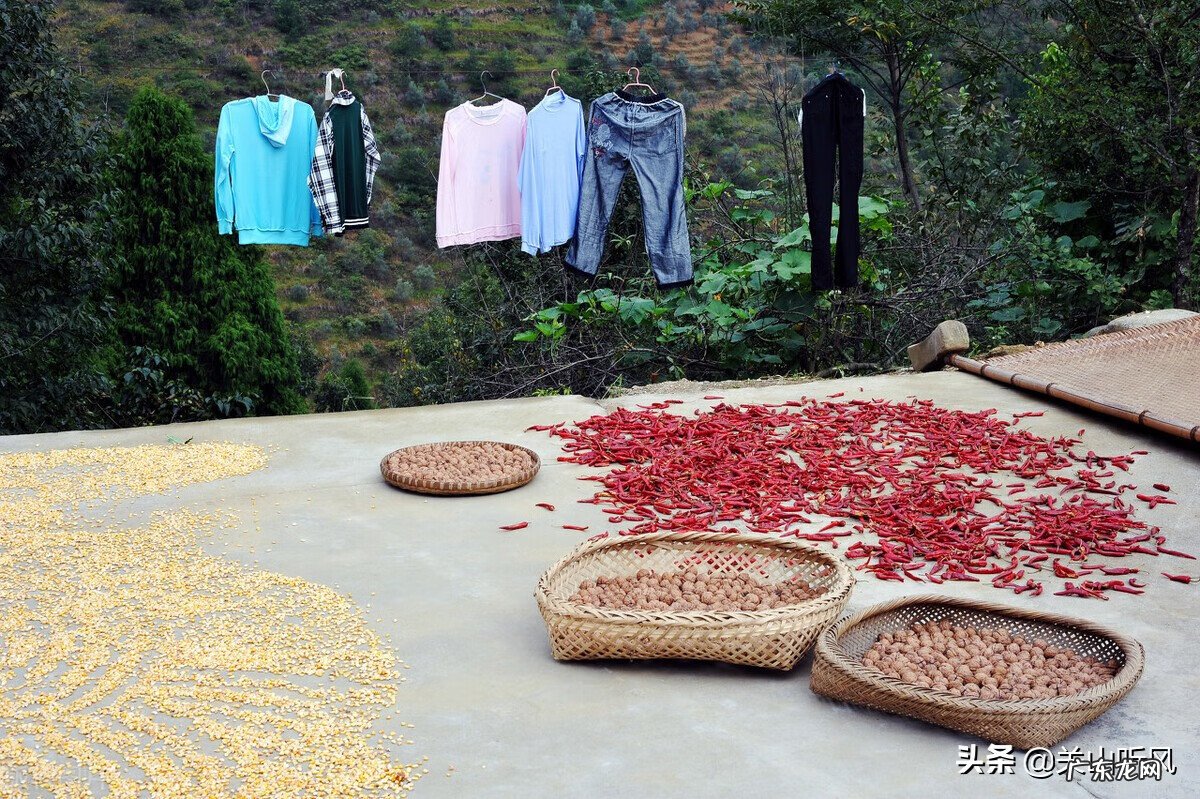 石灰岩主要用于 石灰在风水的作用