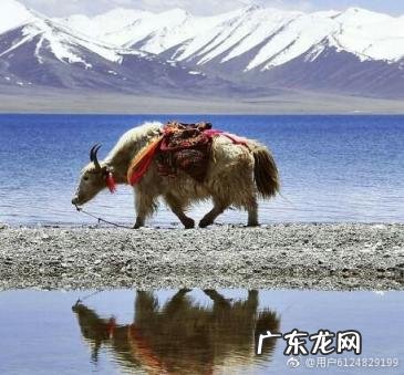 罹怎么读同音字有哪些 罹的同音字怎么读