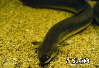 罹怎么读同音字有哪些 罹的同音字怎么读