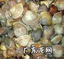 罹怎么读同音字有哪些 罹的同音字怎么读