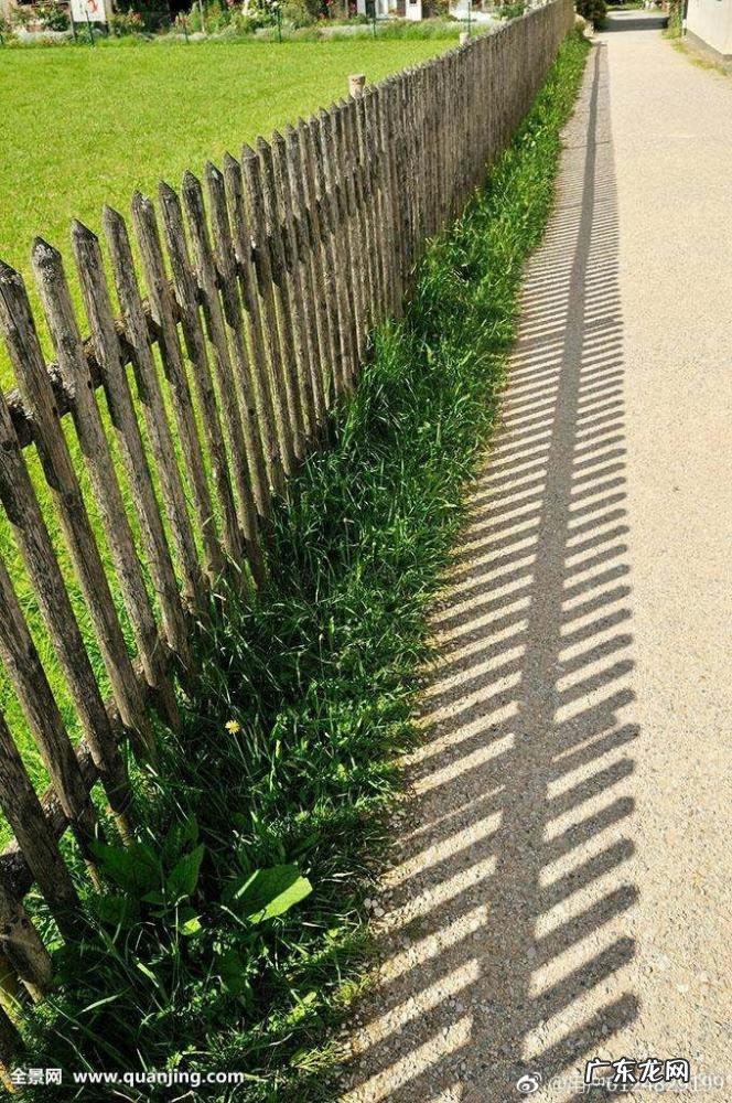 罹怎么读同音字有哪些 罹的同音字怎么读