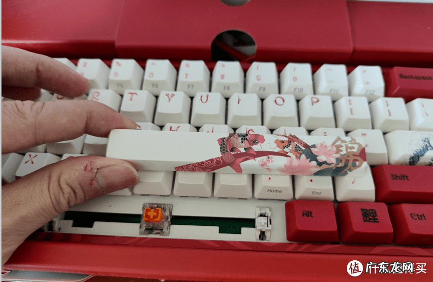 券800折扣网 800折扣官网下载