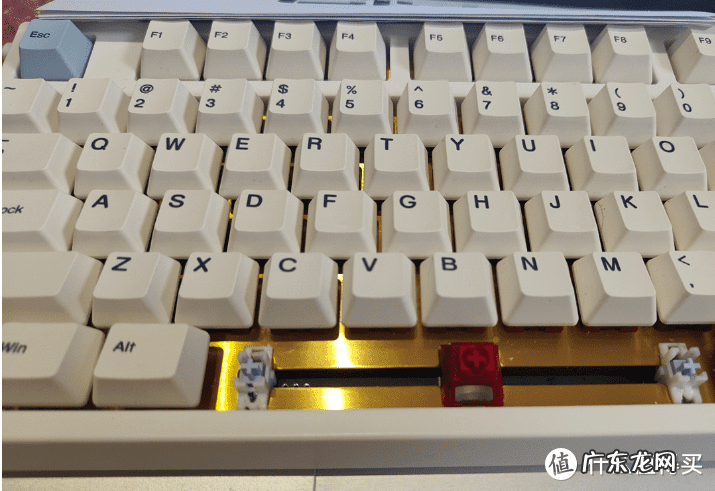 券800折扣网 800折扣官网下载