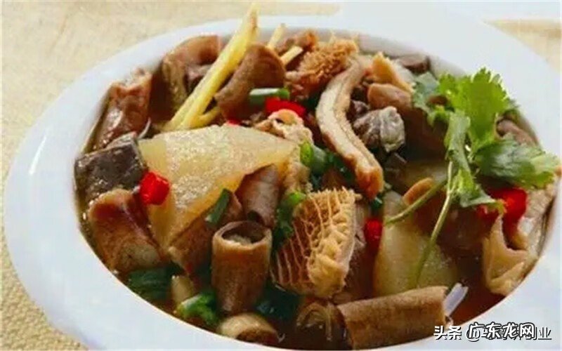 十万块可以开个什么公司 十万元投资项目有哪些