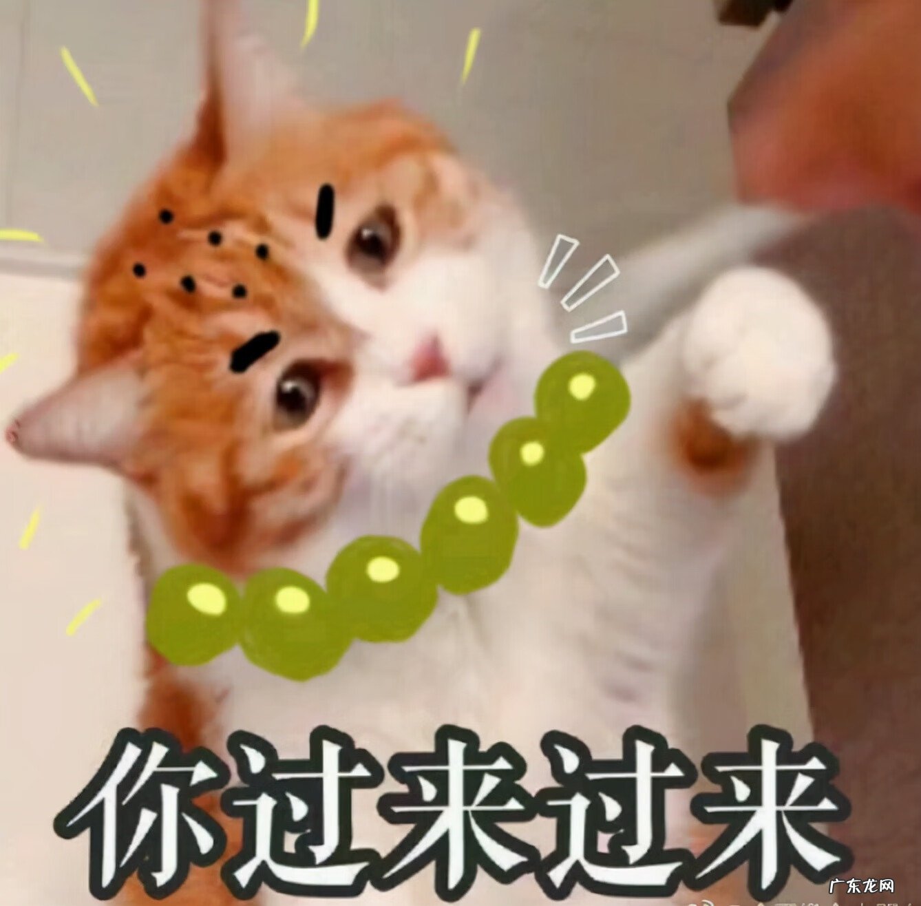 剑网3少林篇完整版 剑网3少林怎么样