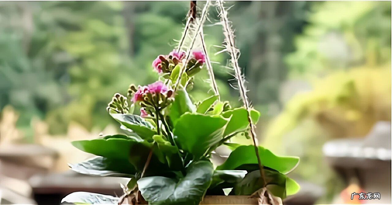 风水学 品行就是风水