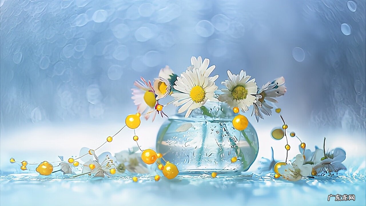 风水学 品行就是风水