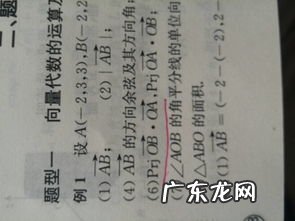 数学prjn是什么意思 数学中的prj是什么意思