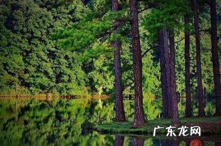 甲木人适合从事什么职业 甲木人适合从事什么职业工作