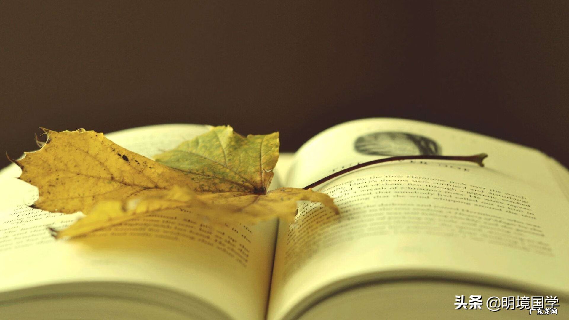 西方风水学 人体内环境风水学