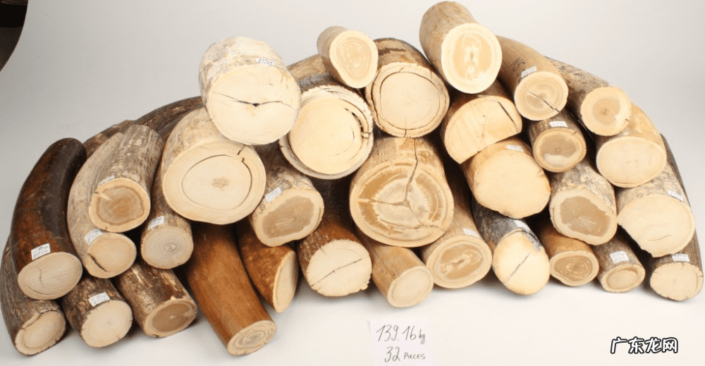 捍卫暴风城半人猛犸 半人猛犸怎么玩