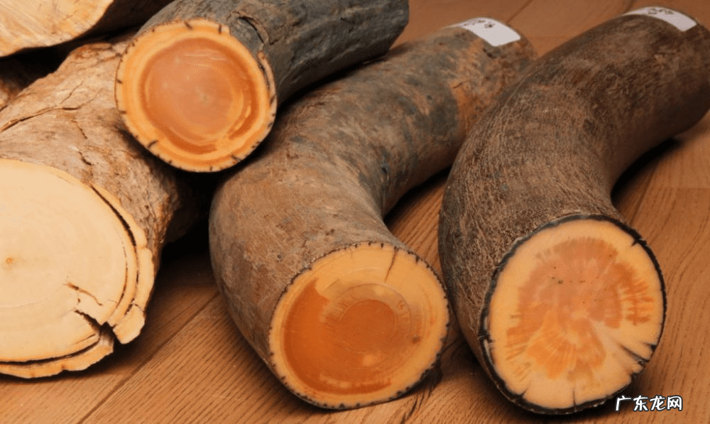 捍卫暴风城半人猛犸 半人猛犸怎么玩