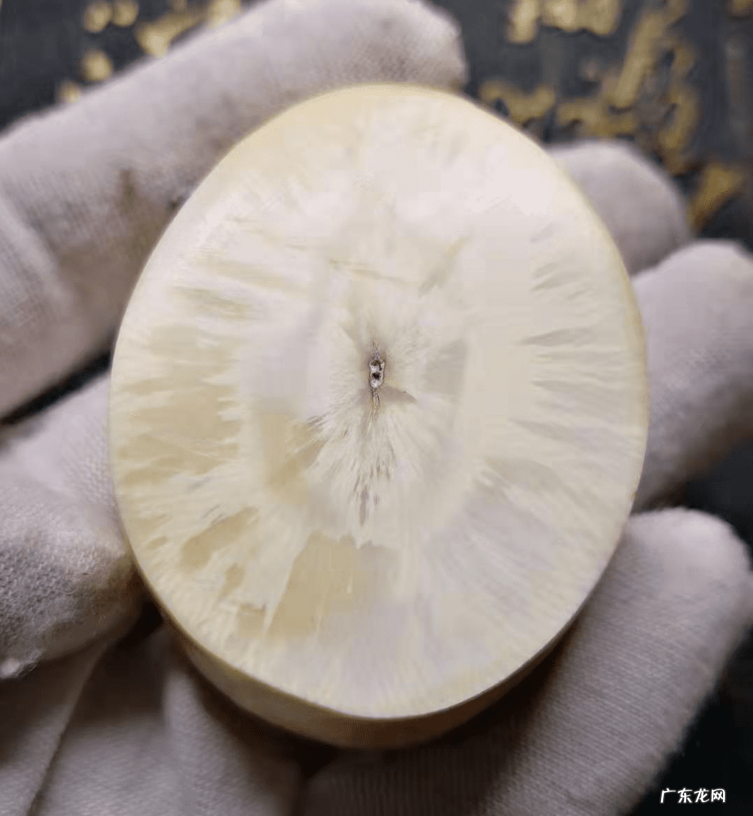 捍卫暴风城半人猛犸 半人猛犸怎么玩