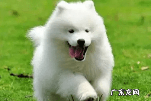 阿里旺旺怎么登陆 阿里旺旺登陆首页