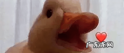 阿里旺旺怎么登陆 阿里旺旺登陆首页