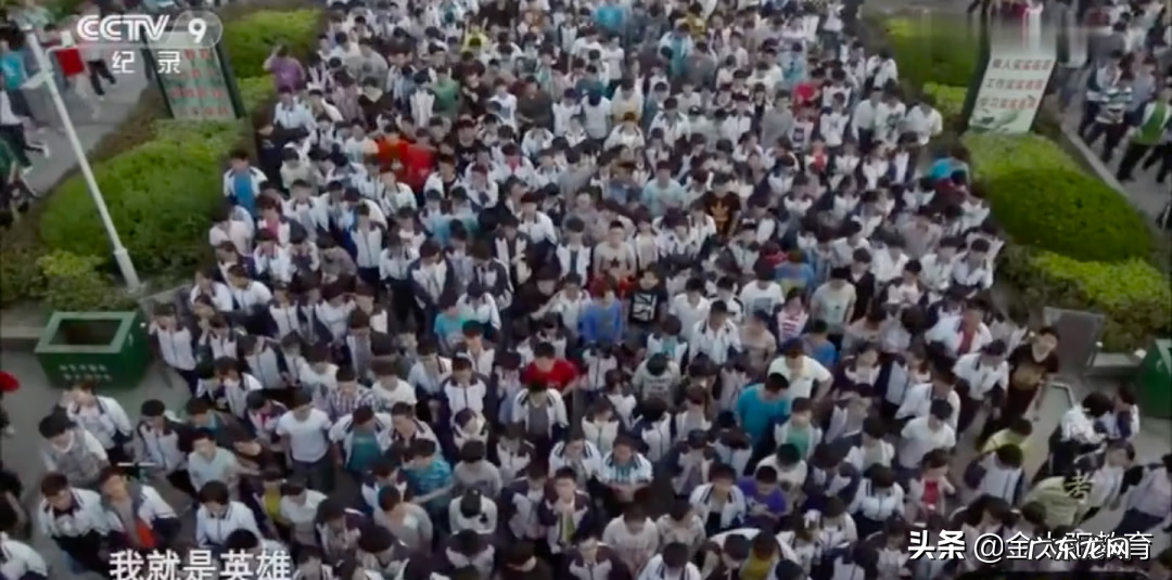 河南高考状元2019 河南高考状元2019