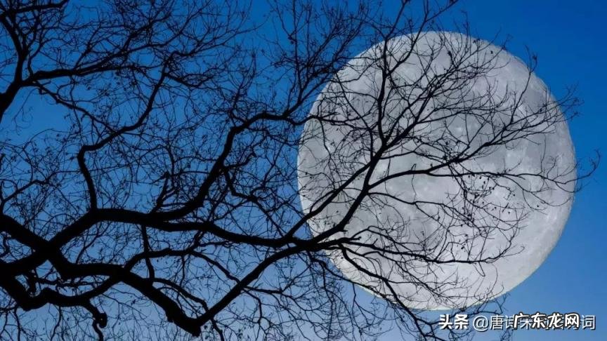 物是人非事事休的意思是啥 物物是人非什么意思