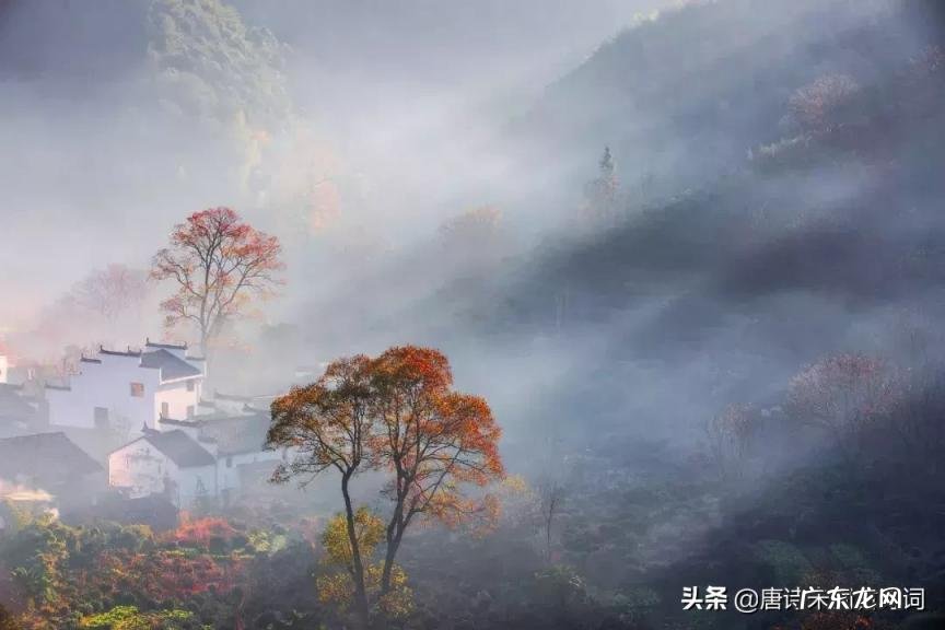 物是人非事事休的意思是啥 物物是人非什么意思