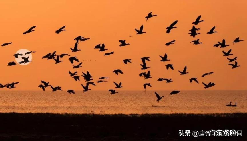 物是人非事事休的意思是啥 物物是人非什么意思