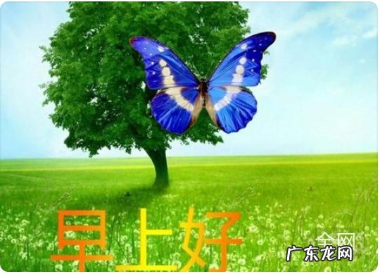 你认为每天最快乐的是什么事呢?