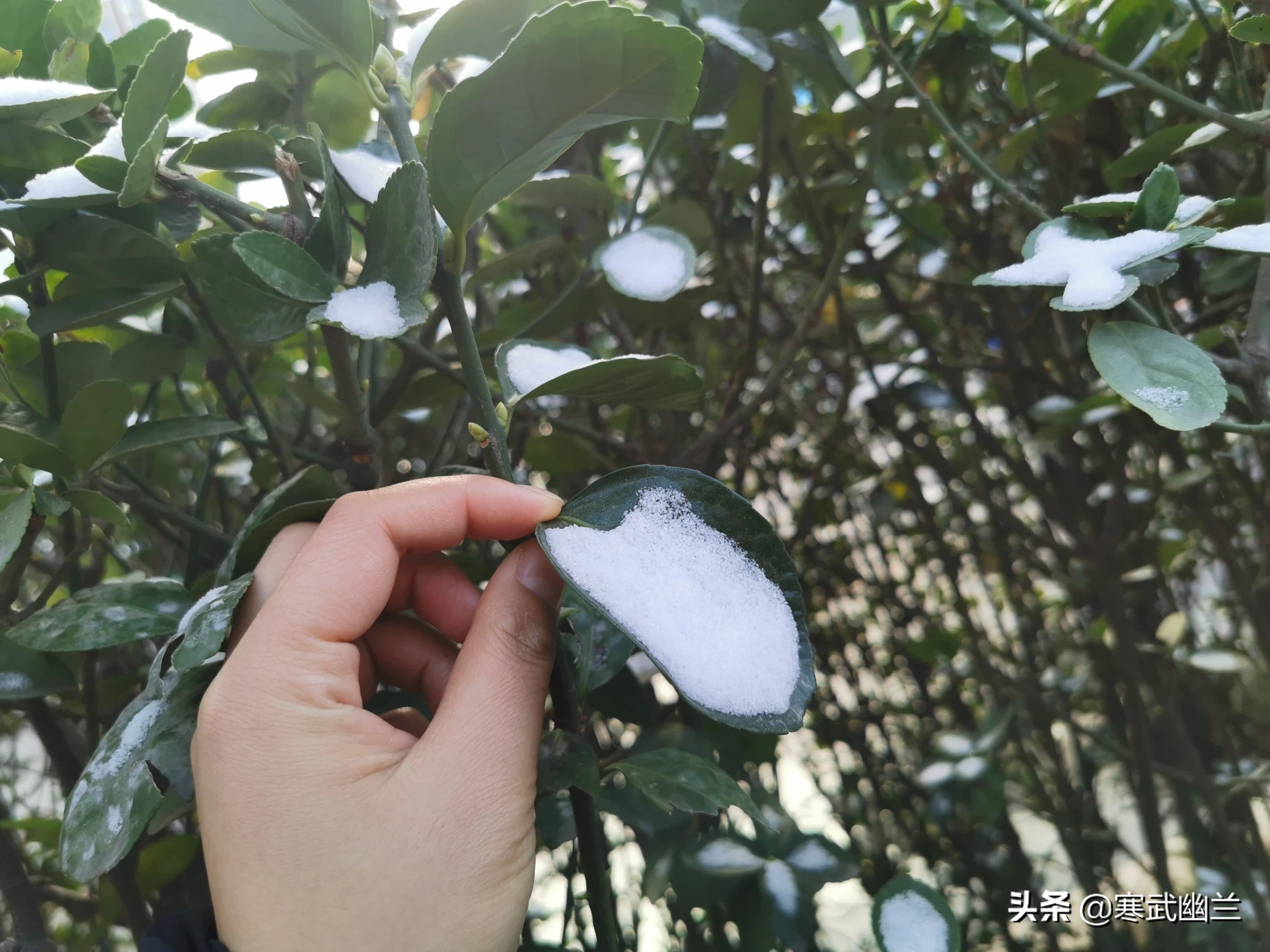 到底是守护童年重要,还是自己开心重要?