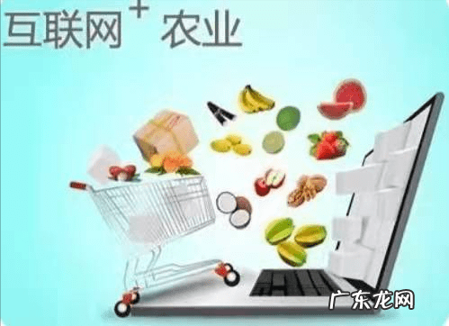 农村挣钱新商机 农村商机有哪些