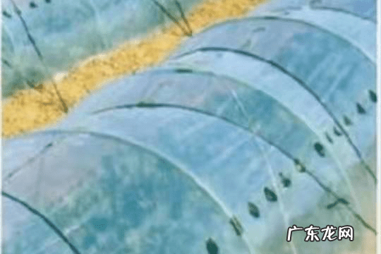 农村挣钱新商机 农村商机有哪些