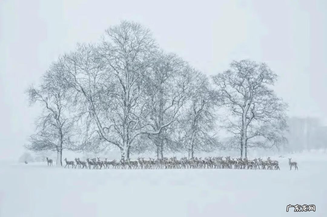 冬天的图片景色和人 冬天风景图片大全