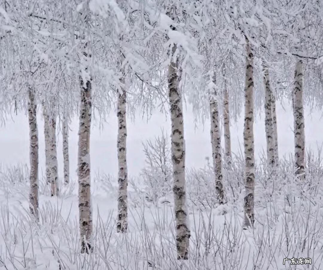冬天的图片景色和人 冬天风景图片大全