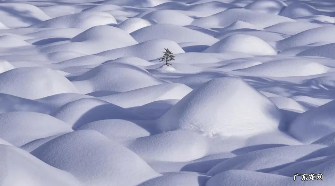 冬天的图片景色和人 冬天风景图片大全