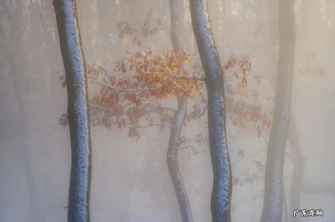 冬天的图片景色和人 冬天风景图片大全