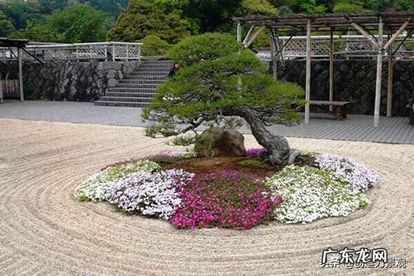 养鸟旺风水 别墅养什么花风水好