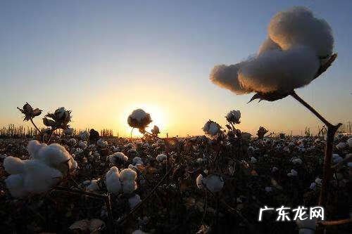 红月亮代表什么预兆 红月亮的作文