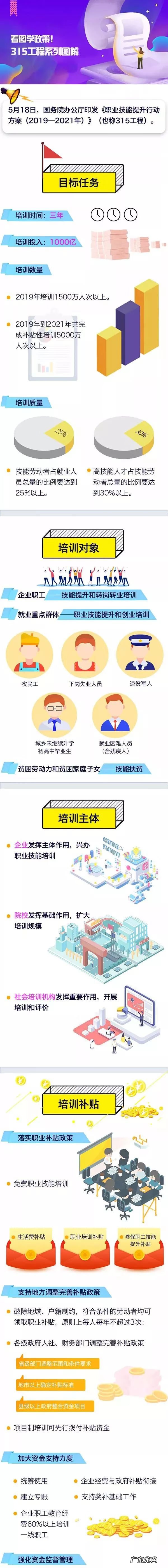 315项目 315项目是什么意思