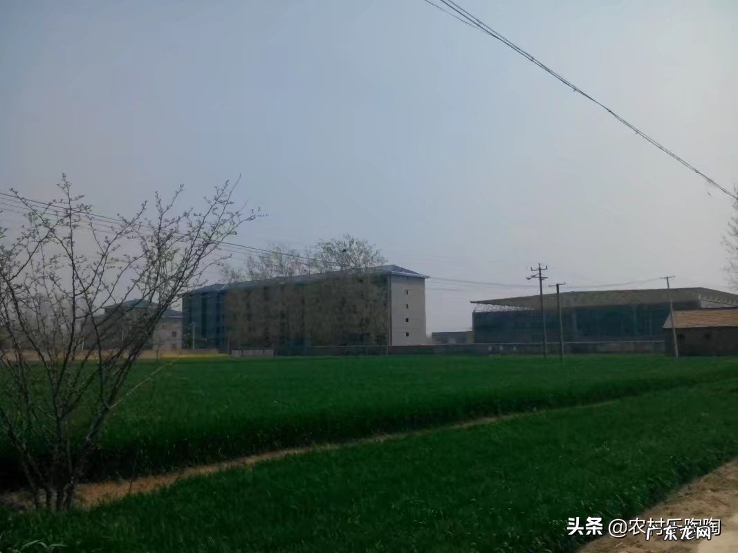 在农村可以开个小工厂吗?