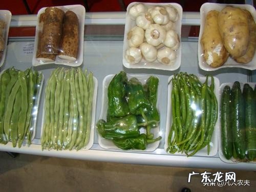 在农村可以开个小工厂吗?