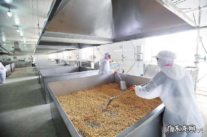 在农村可以开个小工厂吗?