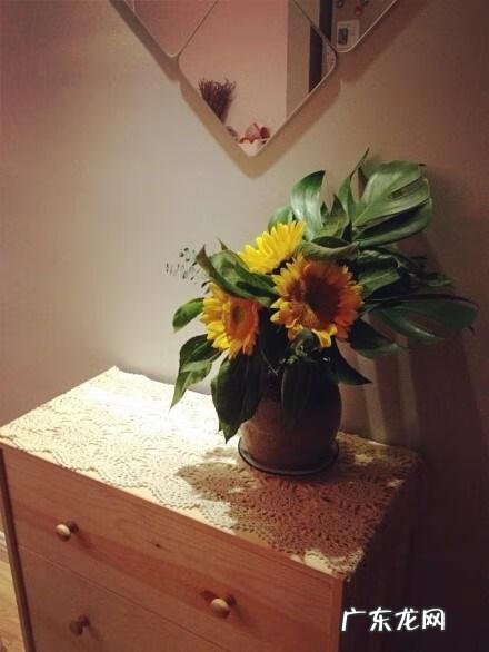 两居室最好的户型图 两居室风水分析图解