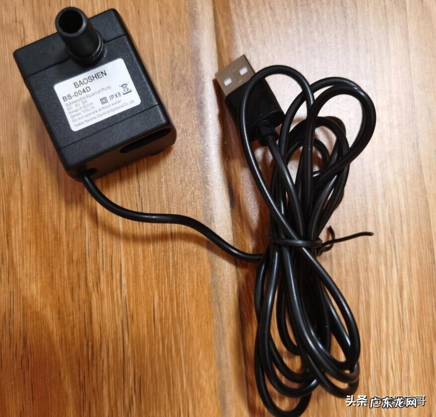 水煮活鱼 风水轮里面可以养鱼吗