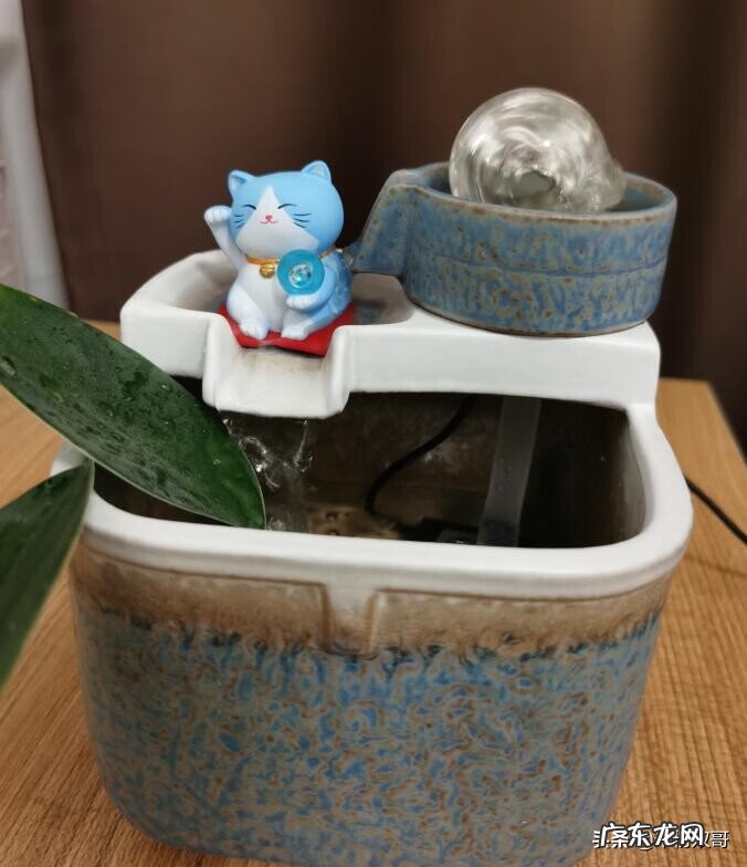 水煮活鱼 风水轮里面可以养鱼吗