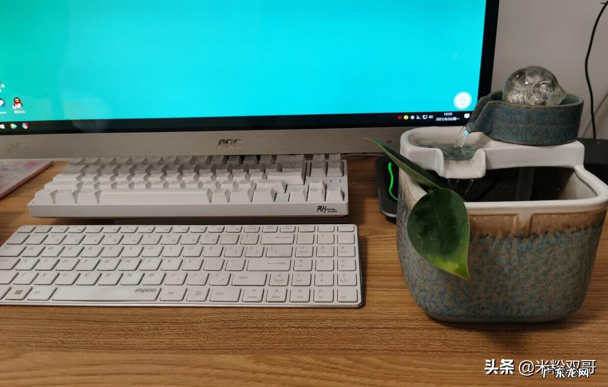 水煮活鱼 风水轮里面可以养鱼吗