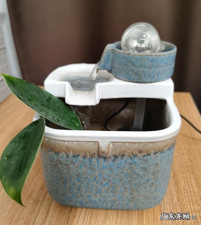 水煮活鱼 风水轮里面可以养鱼吗