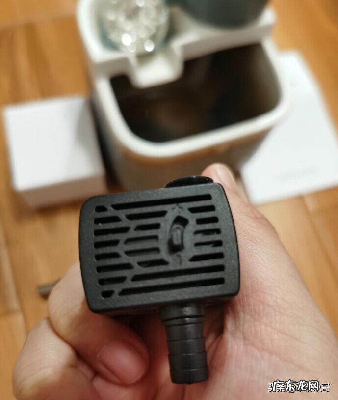 水煮活鱼 风水轮里面可以养鱼吗