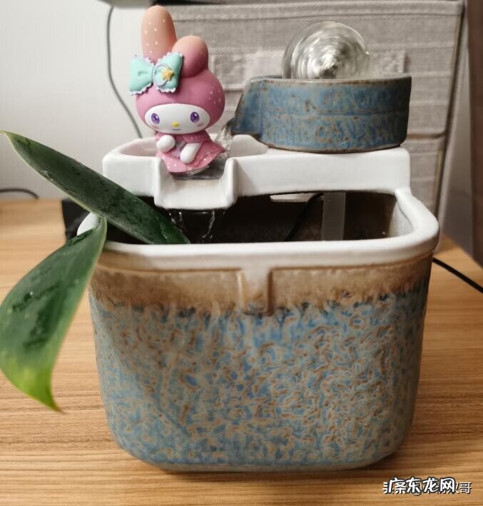 水煮活鱼 风水轮里面可以养鱼吗