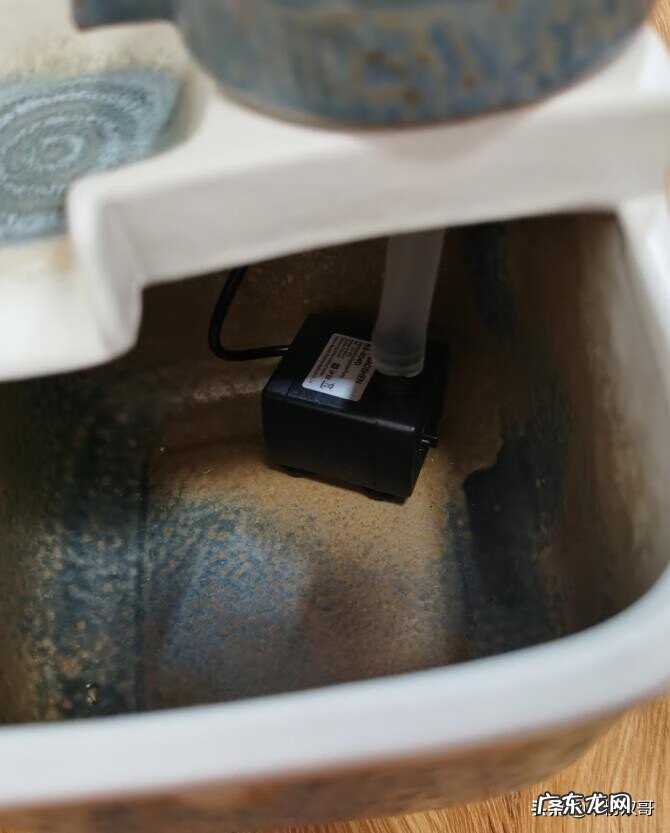 水煮活鱼 风水轮里面可以养鱼吗